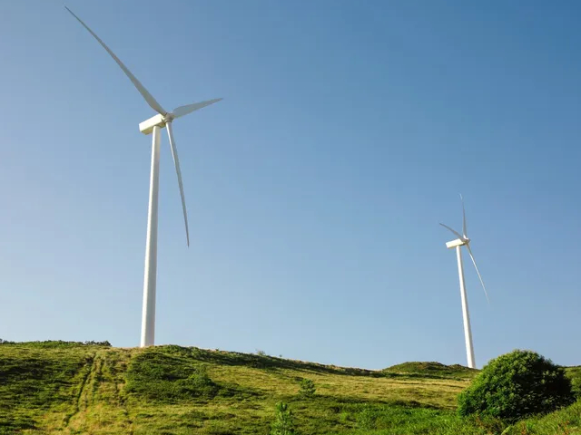 Energía renovable para Olavarría