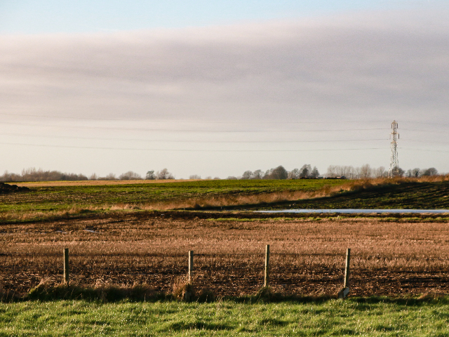 El campo, un activo productivo y patrimonial