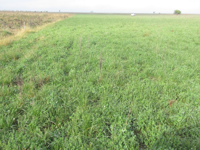 Los campos con señales de reactivación