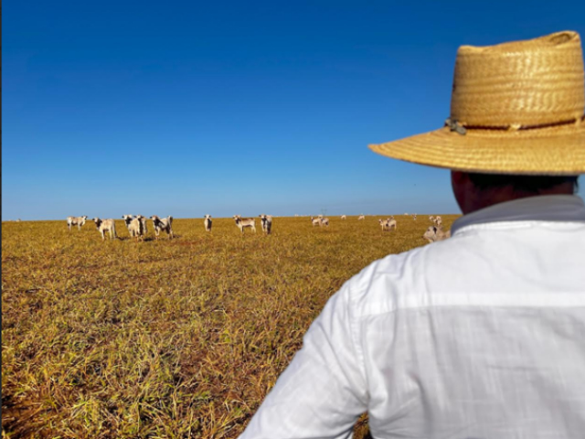 Los campos con señales de reactivación