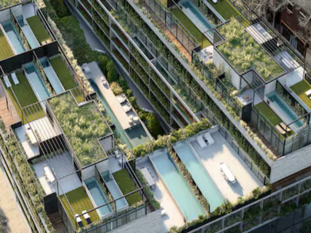 Subasta de tierras millonarias