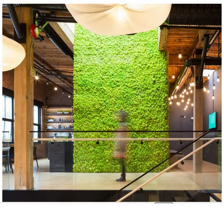 Construir con madera