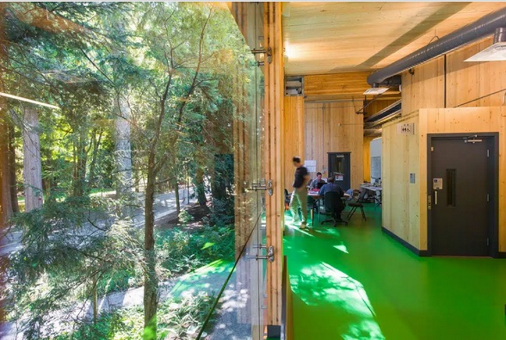 Construir con madera