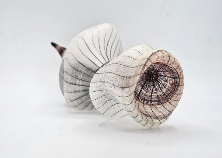 Metamorfosis del jardín